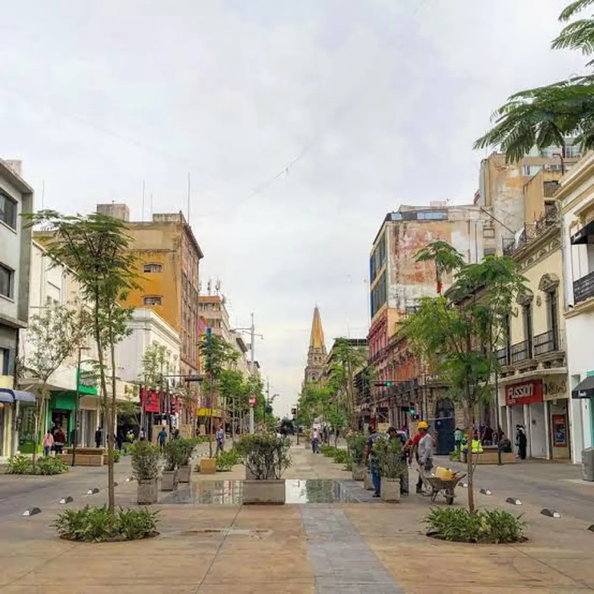 Tour por la Ciudad de Guadalajara 8