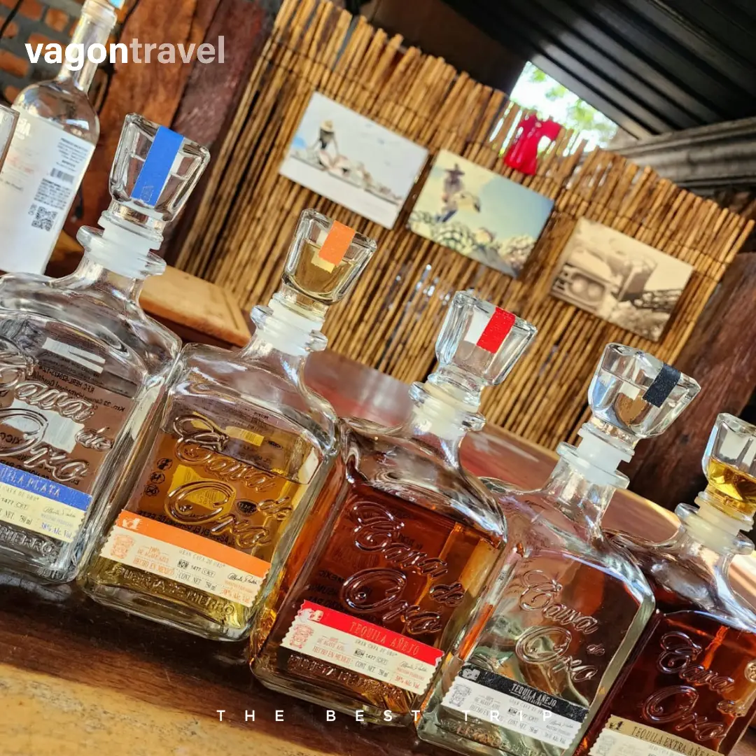 Tour Tequila Fest 3